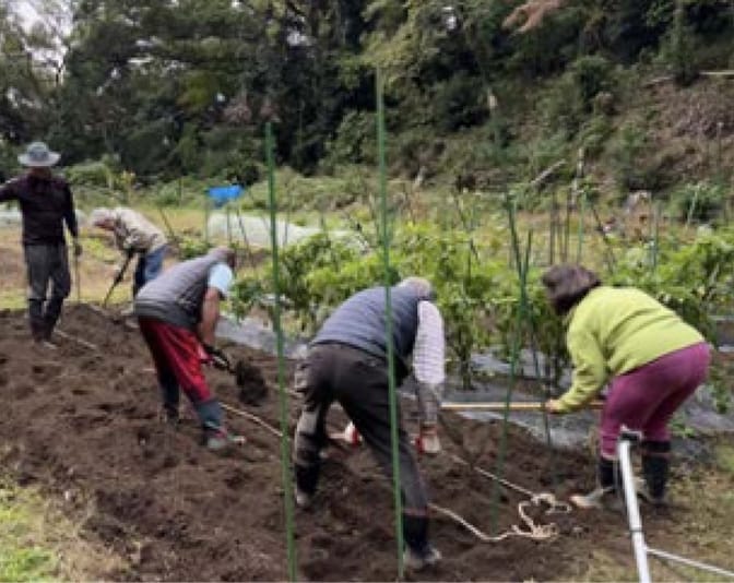 Connecting refugees with the local community